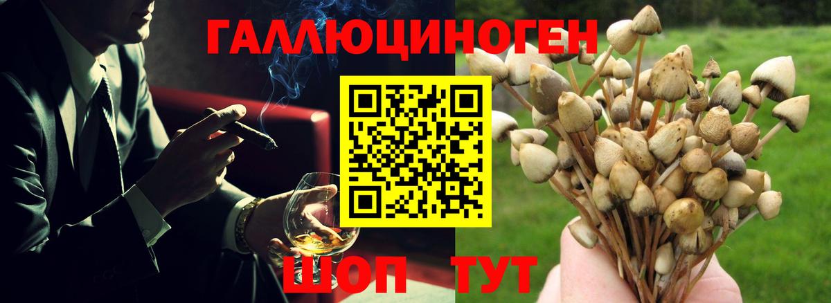 Елец  Галлюциногенные грибы ЛСД  Вход с VPN 